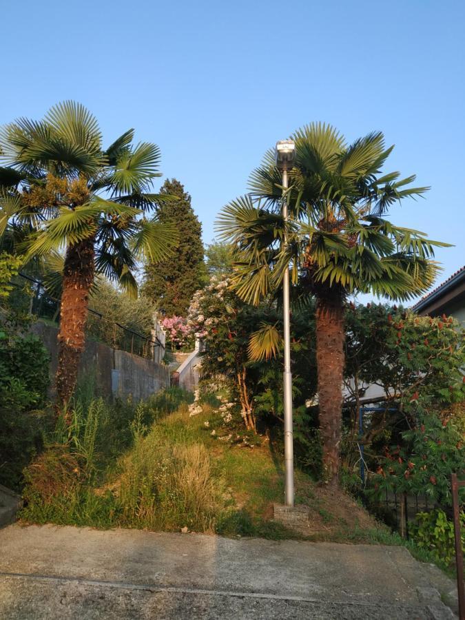 נובה גוריקה Accomodation Pertout מראה חיצוני תמונה